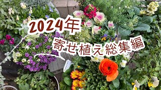 【2024年寄せ植え総集編】