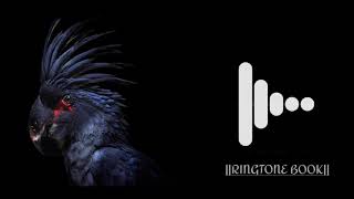 Bird Machine Ringtone |Bird Machine Remix Ringtone |