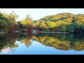 紅葉【神戸 再度公園】修法ヶ原池に映える紅葉