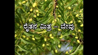 Neem farmers’ friend - ರೈತನ ಮಿತ್ರ ಬೇವು