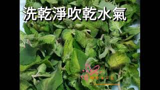 左手香苦茶洗頭皂#過期油再生