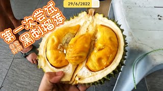 第一次尝试黑刺榴莲!!!【黑刺榴莲开箱】｜Vlog439