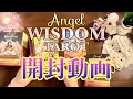 タロットカード開封動画🌈エンジェルウィズダムタロット Angel Wisdom Tarot