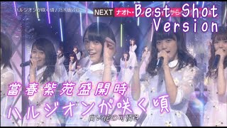 乃木坂46 ハルジオンが咲く頃 [Tear Best Shot Version]