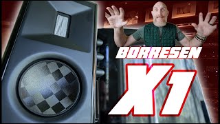 INSANE High End Audio Value! Borresen X1 Speaker Review. Everyone will WANT THES