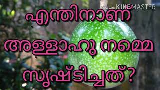 എന്തിനാണ് അള്ളാഹു നമ്മെ സൃഷ്ടിച്ചത് enthinaanu allahu namme srirticahathu