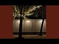 Under the Mistletoe Lights