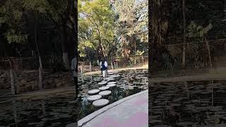 waterpark in Patna zoo #viral #shorts