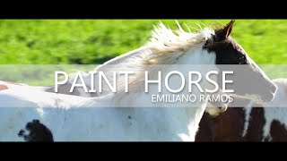 Mundo de Caballos - Programa 55 - Razas equinas - Paint Horse con Emiliano Ramos