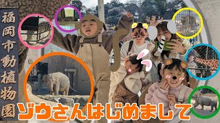 ゾウさんはじめまして🐘／福岡市動植物園