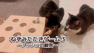 【ねずみたたき３】〜プッシュの練習〜