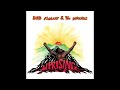 bob marley pimper s paradise instrumental 432hz