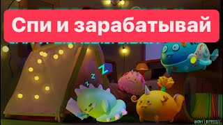 Sleepagotchi. Спи и зарабатывай!