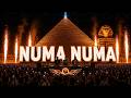 Dragostea Din Tei - O-zone (Numa Numa) (Afro house styles remix of popular songs)