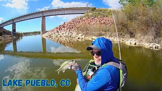 The Absolute FUNNEST Way to Catch Bass!