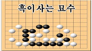 백을 자충을 유도해서 요석을 잡음 - 바둑사활