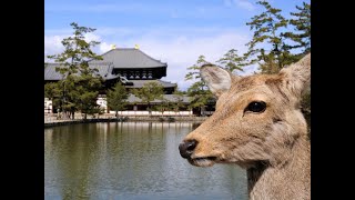 【wlw配信】YUKINA の適当配信20