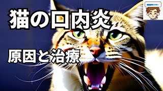 【獣医師がやさしく解説】猫の口内炎の原因と治療　〜獣医さんの教科書を参考に〜