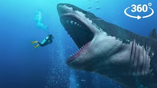 360º MEGALODON Hunts You - VR Video