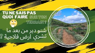 Que faire après l'achat de terrain agricole ? شنو تقدر دير من بعد ما تشري ارض فلاحية؟