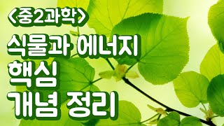 [아라쌤의 중2과학] 식물과 에너지 핵심개념 정리