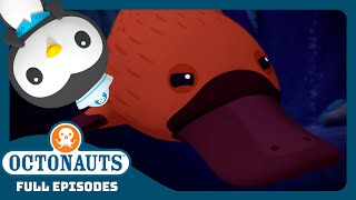 @Octonauts - 🦆 The Duck-Billed Platypus 🪸 | Season 3 | Full Episodes | Cartoons for Kids