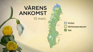 Sophia Nilsson om vårens framfart i landet - Nyhetsmorgon (TV4)