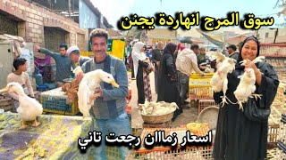 معقوله الاسعار دي طبق البيض واللبن  25 ج ودكر البط 3 كيلو 170ج سمك بلطي 3 كيلو 100ج وفي توصيل