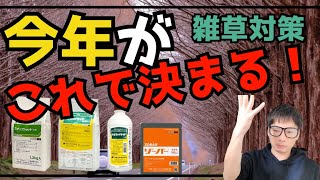 雑草対策・冬の間にやる事で1年間の除草が劇的に楽になる方法