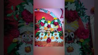 ମହାପ୍ରଭୁ ଶ୍ରୀଜଗନ୍ନାଥଙ୍କ ଅପୂର୍ବ ବେଶ❤️🌼✨🌸|🥰ଆସିଥିଲି କାଳିଆ ତୋ🥰|#jayjagannth #mahaprabhu #srikhetra #puri