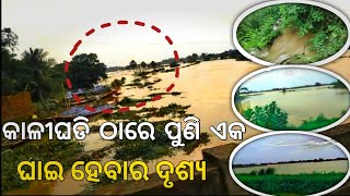 Live News || କାଳୀଘଡି ଠାରେ ପୁଣି ଏକ ଘାଇ ହେବାର ଦୃଷ୍ୟ || Kalighadi Thare Puni Aka Ghai Hebara Drusya