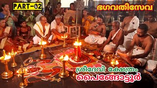 ഭഗവതിസേവ-02 | പൈങ്ങോട്ടൂർ ശ്രീദേവി ക്ഷേത്രം | മഹാശിവരത്രി | Paingottoor Temple | #viswanathanmv