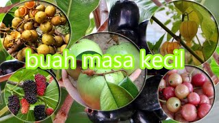 Buah favorite anak jaman dulu | nostalgia masa kecil