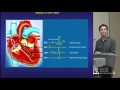 Basics Of Ep Testing And Ablation By Adam Zivin, M.d.