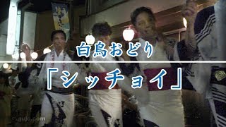 【岐阜県郡上市】白鳥おどり「シッチョイ」