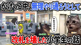 【ほぼ実話】追いかけっこ中、無理やり通ろうとして駅の改札を壊した小学生の話【猫ミーム】【猫マニ】