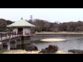 大阪･枚方 山田池公園 3月 yamada ike pond park osaka 2017 03