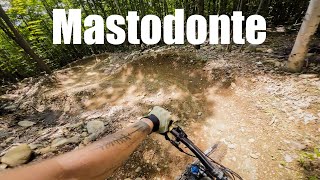 Mastodonte, Flow Trail, Montebello #mtb #mountainbike #montebello #flowtrail #4k #quebec #outaouais