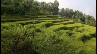 Urgent Land Sale near Dhading Bensi