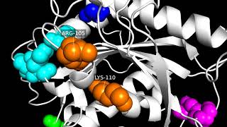 改良したPET分解酵素変異体の立体構造　A plastic-degrading enzyme artificially powered by bioscientists