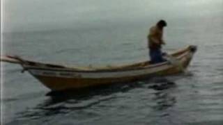 Cod fishing, Pesca do Bacalhau, Newfound Land, Portugal, Canada, Creoula, 1966, The White Ship