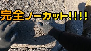 地磯～駐車場までノーカットで