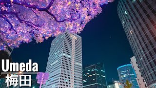 Osaka Night Walk - Umeda Midosuji Illuminations 4K HDR Japan