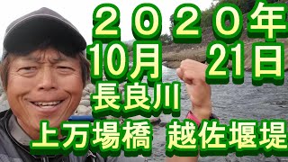 鮎釣り　長良川　釣果　小澤剛　友釣り無双