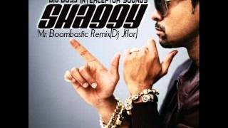Shaggy Mr Boombastic Remix Dj Jflor ft Dj Jomar