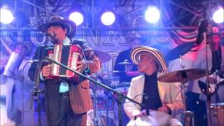 GUANACO SOLIDO EN EL CANTON SAN EDUARDO 2017