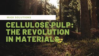 Cellulose Pulp: The Revolution in Sustainable Materials