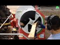 fastest automatic firewood processing machine homemade modern wood cutting chainsaw machines 20