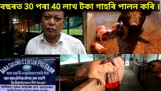 PIG FRAM || PIG FRAM IN ASSAM || গাহৰি পালন কেনেকৈ কৰিব।