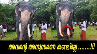 അവന്റെ അനുസരണ കണ്ടില്ലേ .......!!! 🥰🥰🥰  uttoly mahadevan elephant